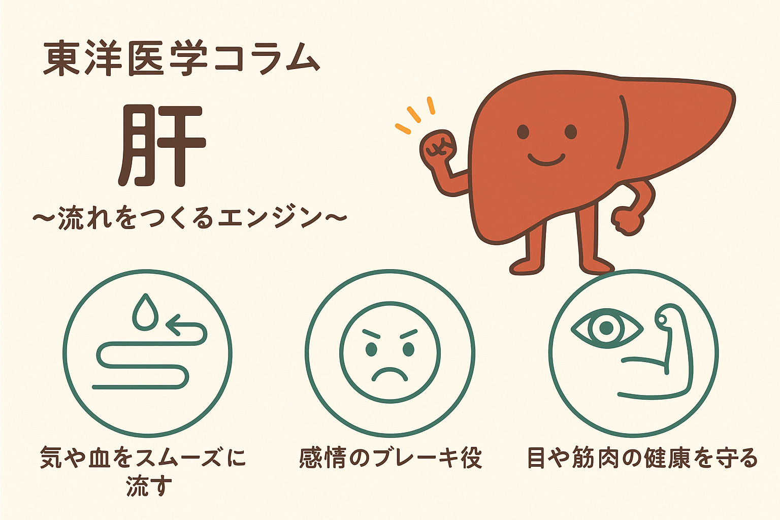 東洋医学コラム：五臓の「肝」